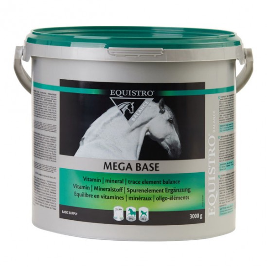 Equistro Mega Base Junior 1L