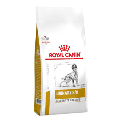 Royal Canin Urinaire S/O chien croquettes calories modérées 6,5kg